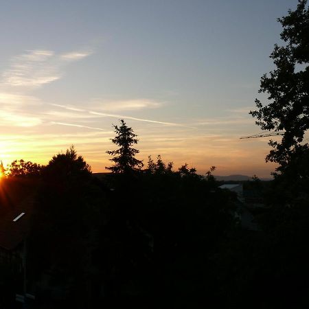 Leiselheimer Hof Sasbach am Kaiserstuhl Exteriör bild